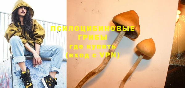 ГАЛЛЮЦИНОГЕННЫЕ ГРИБЫ Алзамай