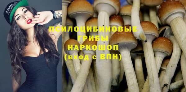 круглые Алексин